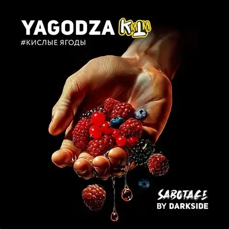 Darkside Sabotage Yagodza 250g